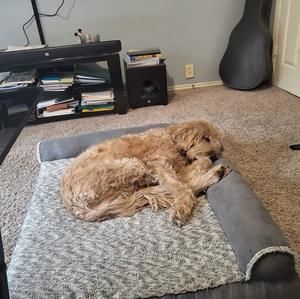 Meet your Posher, Sharon